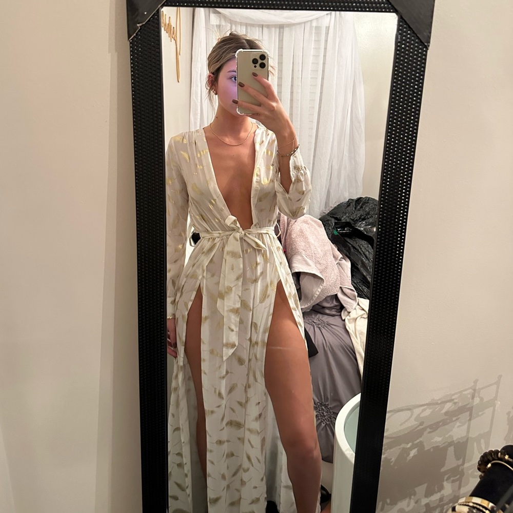 Sheer Maxi Long Sleeve Dress